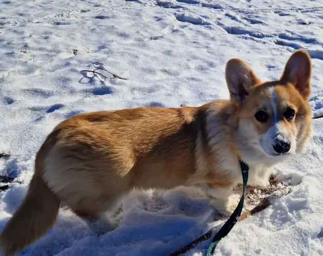 Gucci looking for analytical friend