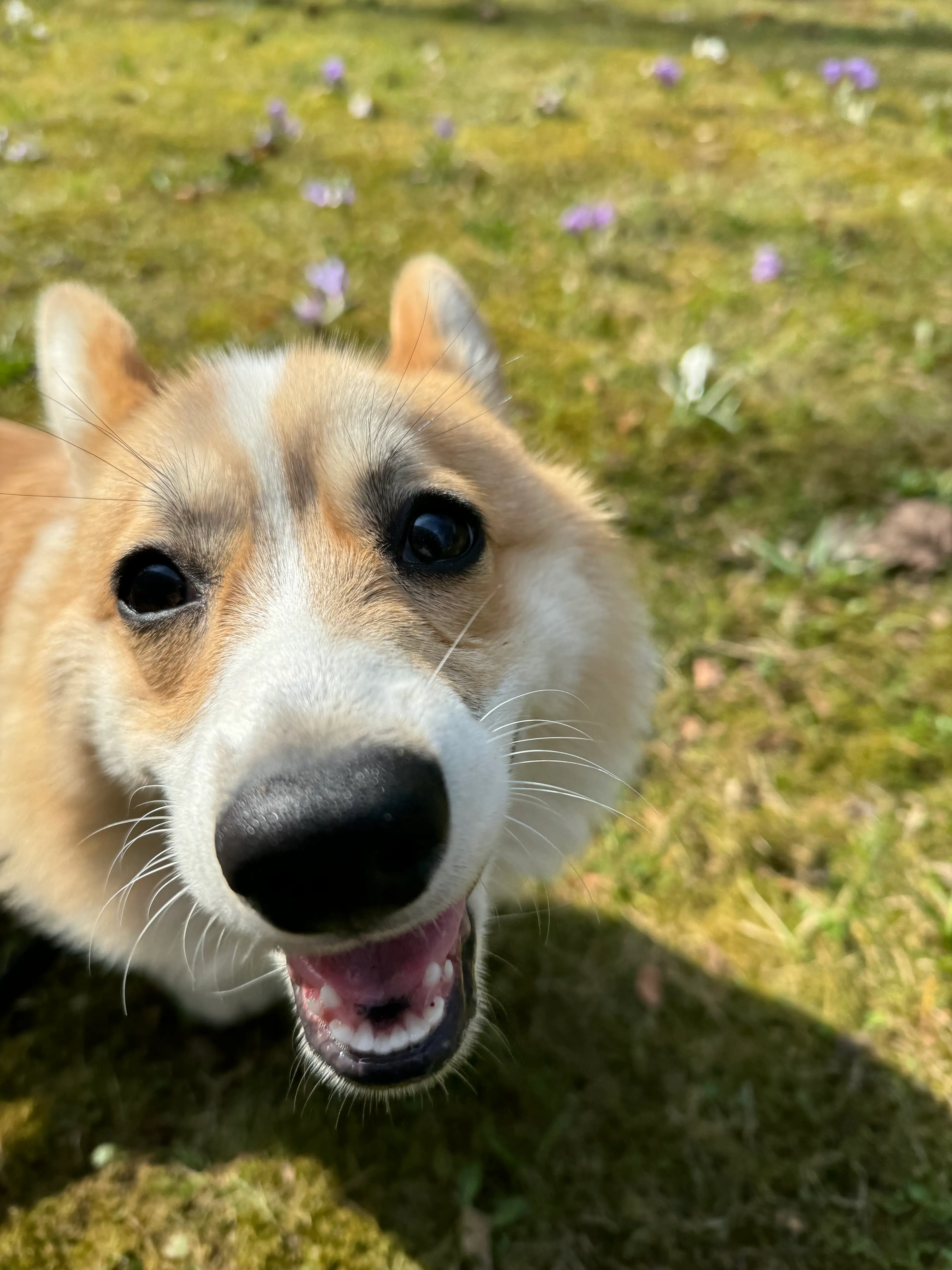 Gucci smiling for you